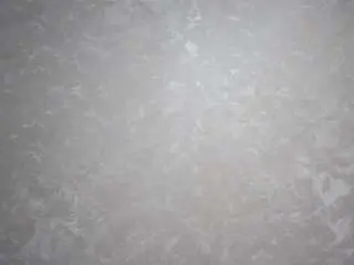 Devorakolwyck  live sex cam