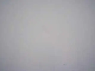 Devorakolwyck  live sex cam