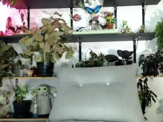 Catsalo  live sex cam