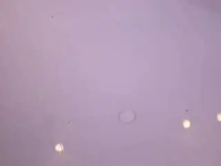 Estef-love  live sex cam