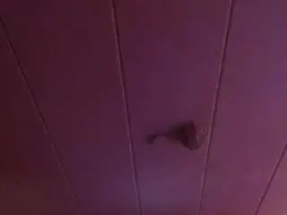 Sexycristal69  live sex cam