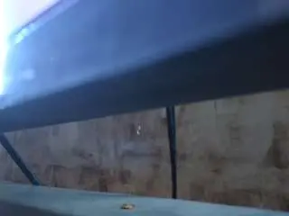 Hotnia69  live sex cam