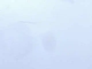 Annaabrooks  live sex cam