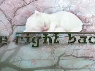 Electro-doll  live sex cam