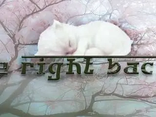 Electro-doll  live sex cam