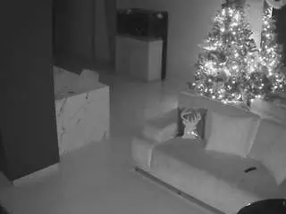 Voyeurcam-casa-salsa-parlor  live sex cam