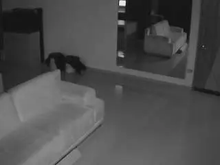 Voyeurcam-casa-salsa-parlor  live sex cam