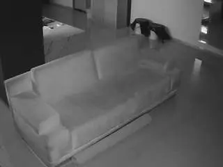 Voyeurcam-casa-salsa-parlor  live sex cam