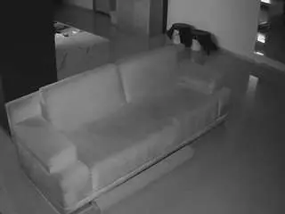 Voyeurcam-casa-salsa-parlor  live sex cam