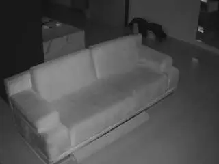 Voyeurcam-casa-salsa-parlor  live sex cam