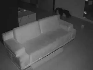 Voyeurcam-casa-salsa-parlor  live sex cam