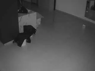 Voyeurcam-casa-salsa-parlor  live sex cam