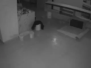 Voyeurcam-casa-salsa-parlor  live sex cam