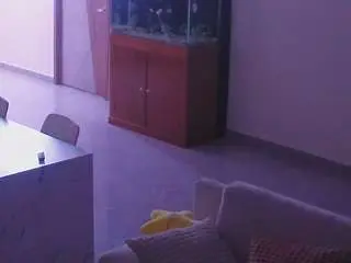 Voyeurcam-casa-salsa-parlor  live sex cam