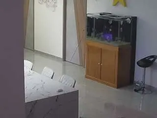 Voyeurcam-casa-salsa-parlor  live sex cam