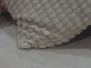 Voyeurcam-casa-salsa-parlor  live sex cam