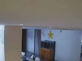 Voyeurcam-casa-salsa-parlor  live sex cam
