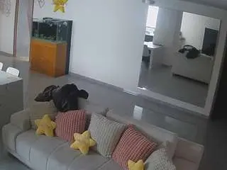 Voyeurcam-casa-salsa-parlor  live sex cam