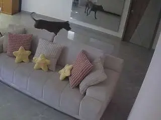 Voyeurcam-casa-salsa-parlor  live sex cam