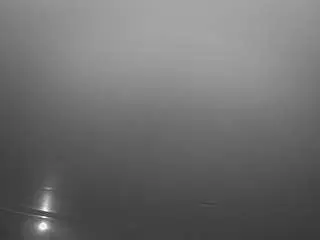 Voyeurcam-casa-salsa-parlor  live sex cam