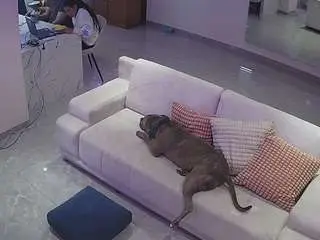Voyeurcam-casa-salsa-parlor  live sex cam