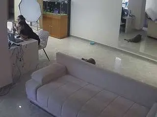 Voyeurcam-casa-salsa-parlor  live sex cam