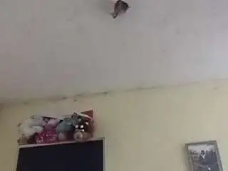 Kumy2002  live sex cam