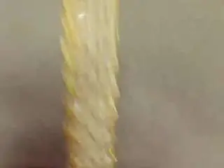 Shanajamil  live sex cam