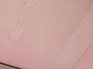 Taarawilson  live sex cam