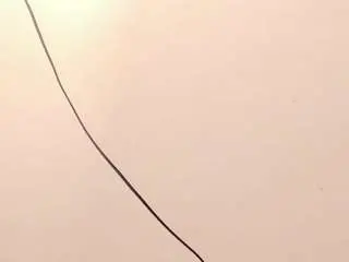 Arianna-lewiss  live sex cam