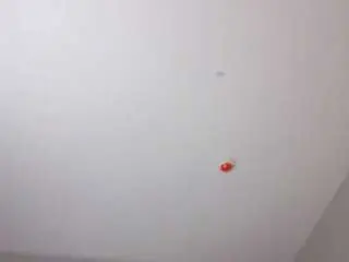 Juicyjuicysticky  live sex cam