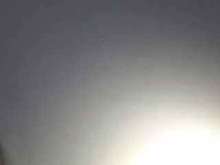 Hilari18  live sex cam