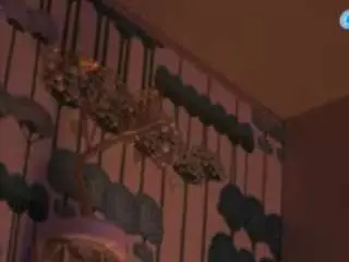 Hedyfrawkin  live sex cam