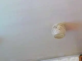 Aliciabow  live sex cam