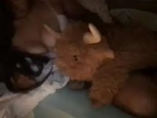 Nola2luv2  live sex cam