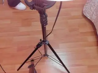 Melodyprice  live sex cam