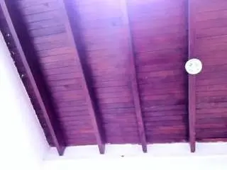 Vahiolet-fuentes1  live sex cam