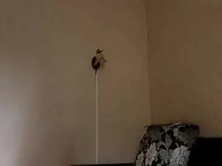 Takishawaite  live sex cam