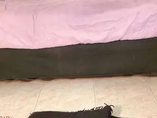 Denisewolfe  live sex cam