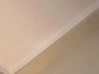Sophiacorrales  live sex cam