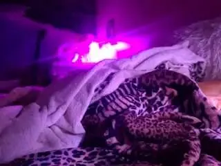 Kinkeekaee  live sex cam