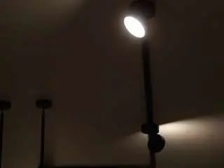 Alodiaganter  live sex cam