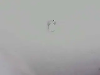 Jaaadeee  live sex cam
