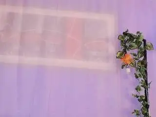 Liccy-hall  live sex cam