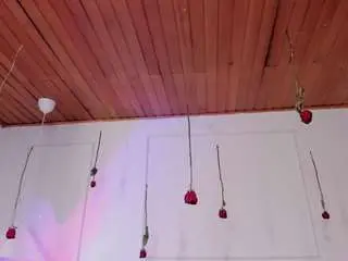 Arianne-ferrer  live sex cam