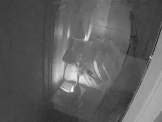 Voyeurcam-casa-salsa-bathroom-12  live sex cam