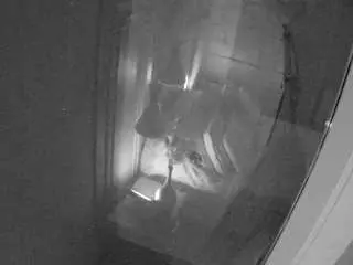 Voyeurcam-casa-salsa-bathroom-12  live sex cam