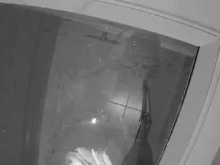 Voyeurcam-casa-salsa-bathroom-12  live sex cam