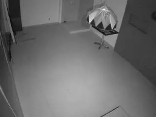 Voyeurcam-jb-dining  live sex cam