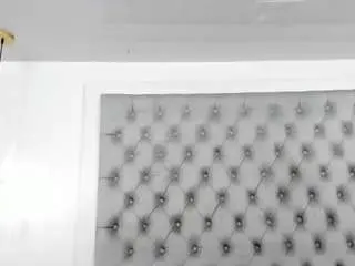 Anette-cooper  live sex cam